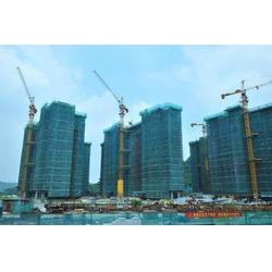 塔吊租賃凱德思達(dá),塔吊租賃規(guī)格,滄州塔吊租賃